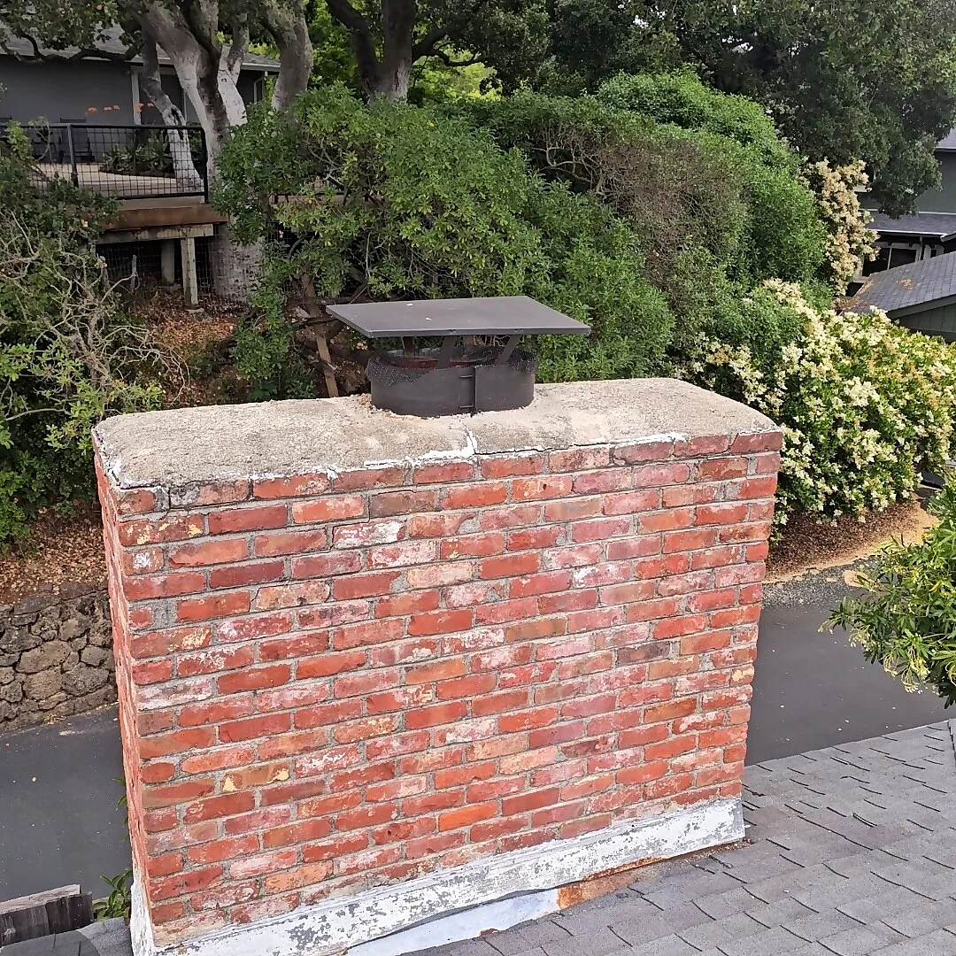 Wide red brick chimney with a stainless steel cap surrounded by greenery