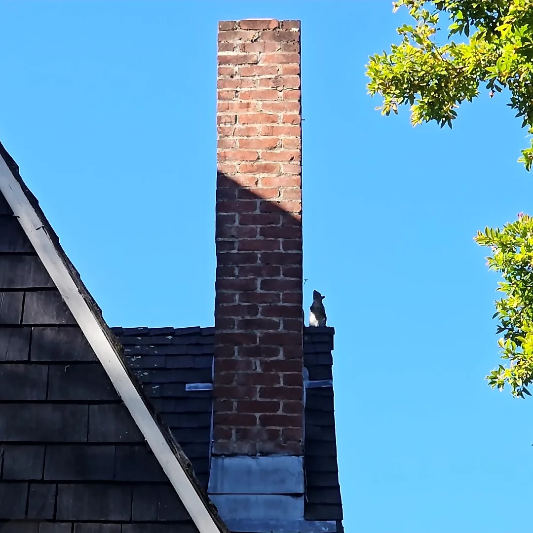 Squirrel perched on top of a brick chimney cap against a blue sky